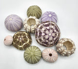 Sea Urchin Assortment, Beach Decor Urchin Seashells, Nautical Decor Sea Urchins, 10PC Assortment