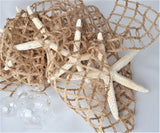 Beach Christmas, coastal Christmas, nautical Christmas, beach décor, Christmas ornament, beach garland, coastal garland, nautical garland, seashell garland, starfish garland, shell garland, coastal décor, nautical decor
