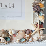 seashell frame, shell frame, seashell decor, shell decor, colored shell frame, white shell frame