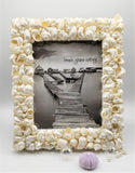 seashell frame, shell frame, turbo shell frame, beach decor, coastal decor, nautical decor, seashell gift, beach wedding frame