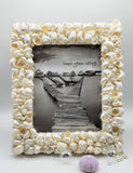seashell frame, shell frame, turbo shell frame, beach decor, coastal decor, nautical decor, seashell gift, beach wedding frame