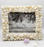 seashell frame, shell frame, turbo shell frame, beach decor, coastal decor, nautical decor, seashell gift, beach wedding frame