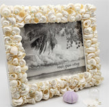 seashell frame, shell frame, turbo shell frame, beach decor, coastal decor, nautical decor, seashell gift, beach wedding frame
