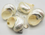 pearl turbo shell, pearl turbo seashell, pearl turban shell, pearl turban seashell, beach wedding shell