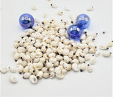 drilled seashells, drilled tiny shells, drilled nipple shell