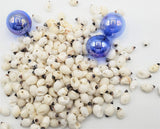 drilled seashells, drilled tiny shells, drilled nipple shell