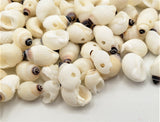 drilled seashells, drilled tiny shells, drilled nipple shell