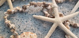 tiny seashell garland, shell garland, beach garland, coastal garland, nautical garland
