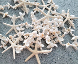 Beach Decor White Seashell & Starfish Christmas Garland, Coastal Beach Wedding Shell Garland, Nautical Decor Garland, 6FT