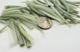 20PC Green Tusk Seashells, Bulk Craft Shells, Horn Shape Green Craft or Jewelry Shell, 20PC