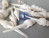 spindle shell, spindle seashell, white spindle shell, white spindle seashell, beach wedding shell, white wedding shell, white collector shell, white specimen shell