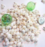 white nipple shells, nipple seashells, beach wedding shells, white wedding shells, white craft shells