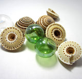 sundial shell, sun dial shell, beach wedding shell, brown spiral shell, spiral seashell