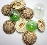 sundial shell, sun dial shell, beach wedding shell, brown spiral shell, spiral seashell