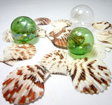 scallop shells, scallop seashells, pectin shells, pectin seashells, scallops, beach wedding shells, craft scallop shells
