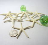 white starfish, white star fish, white pencil starfish, white finger starfish, beach wedding starfish, skinny starfish