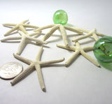 white starfish, white star fish, white pencil starfish, white finger starfish, beach wedding starfish, skinny starfish