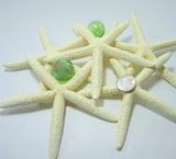 white starfish, white star fish, white finger starfish, white pencil starfish, beach wedding starfish, bulk white starfish