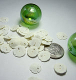 small sand dollars, tiny sand dollars, medium sand dollars, bulk sand dollars, craft sand dollars, jewelry sand dollars