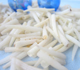 tusk shells, tusk seashells, white tusk shell, tusk shaped shell, white tusk seashell, tiny white shells, tiny white seashells, tiny craft shells
