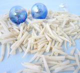 tusk shells, tusk seashells, white tusk shell, tusk shaped shell, white tusk seashell, tiny white shells, tiny white seashells, tiny craft shells