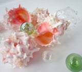 pink murex, pink murex shell, pink murex seashell, pink shells, pink seashells, pink specimen shell, pink collector shell