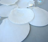 moon shell, moon seashell, white moon shell, white moon seashell, sun and moon shell, sun and moon seashell, beach wedding shell