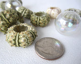 green sea urchin, tiny sea urchin, small sea urchin, little sea urchin, bumpy sea urchin