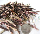 sea urchin spine, sea urchin spike, urchin spine shells, urchin spike shells, tiny sea urchin spines, wind chime shells