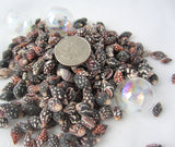 Nassa Columbella, nassa shells, nassa seashells, spotted shells, spotted seashells, bulk craft shells, bulk shells