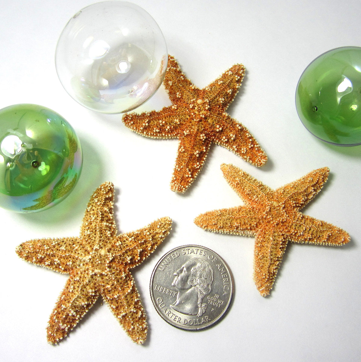 1 Lb Golden Amber Mix Replica Craft Beach / Sea Glass for 