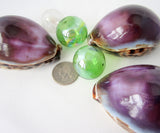 5PC Purple Cowrie Seashell, Large Specimen Cowrie Shell, Spotted Dark PURPLE Cowrie Seashells, 3", 5 PC