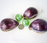 5PC Purple Cowrie Seashell, Large Specimen Cowrie Shell, Spotted Dark PURPLE Cowrie Seashells, 3", 5 PC