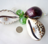 5PC Purple Cowrie Seashell, Large Specimen Cowrie Shell, Spotted Dark PURPLE Cowrie Seashells, 3", 5 PC