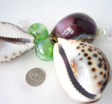 5PC Purple Cowrie Seashell, Large Specimen Cowrie Shell, Spotted Dark PURPLE Cowrie Seashells, 3", 5 PC