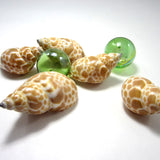 8PC Beach Decor Spotted Seashells, Nautical Decor Babylonia Spirata Shells, Coastal Decor Dotted Seashells, Brown & White Spotted, 1-2", 8PC