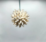 Beach Christmas Ornament, Coastal Christmas Seashell Ornament, White Spiked Shell Ornament, Beach Coastal Gifts