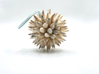 Beach Christmas Ornament, Coastal Christmas Seashell Ornament, White Spiked Shell Ornament, Beach Coastal Gifts