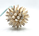 Beach Christmas Ornament, Coastal Christmas Seashell Ornament, White Spiked Shell Ornament, Beach Coastal Gifts