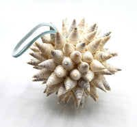 Beach Christmas Ornament, Coastal Christmas Seashell Ornament, White Spiked Shell Ornament, Beach Coastal Gifts