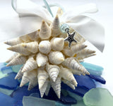Beach Christmas Ornament, Coastal Christmas Seashell Ornament, White Spiked Shell Ornament, Beach Coastal Gifts