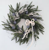 Beach Christmas Wreath, Coastal Christmas Seashell Wreath, Beach Coastal Pine Wreath w Starfish & Shells, Beach Coastal Gifts & Decor
