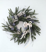 Beach Christmas Wreath, Coastal Christmas Seashell Wreath, Beach Coastal Pine Wreath w Starfish & Shells, Beach Coastal Gifts & Decor