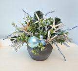 Beach Christmas Centerpiece, Coastal Christmas Seashell Table Arrangement, Beach Coastal Center Piece w Starfish & Shells, Beach Coastal Gifts & Decor