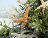 Beach Christmas Centerpiece, Coastal Christmas Seashell Table Arrangement, Beach Coastal Center Piece w Starfish & Shells, Beach Coastal Gifts & Decor