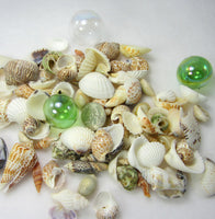 1 GALLON Colored Seashell Mix, Beach Wedding Shell Mix, Bulk Colored Brown Craft Shells, 1 GALLON