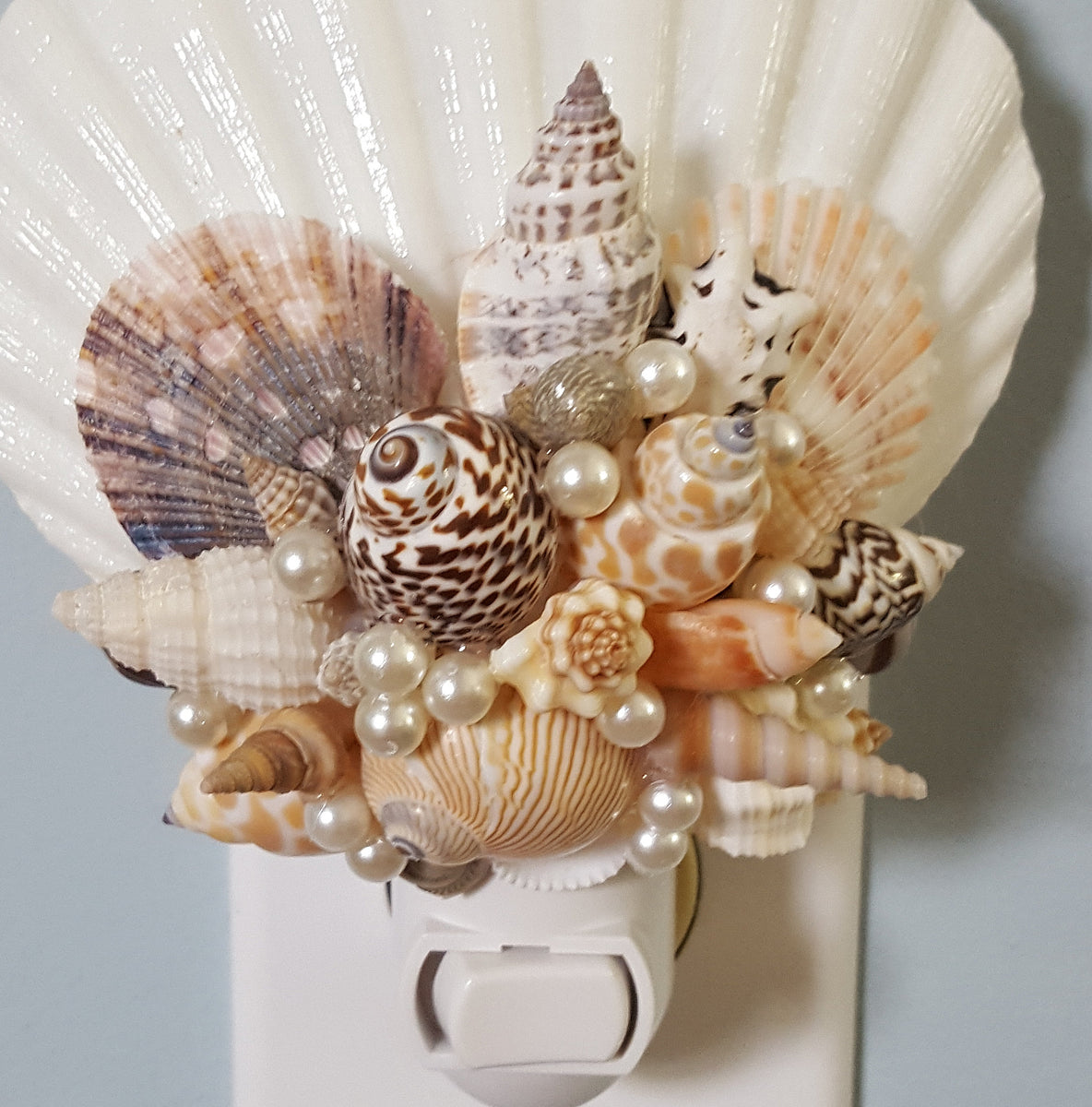 Beach Decor Seashell Night Light, Nautical Coastal Shell Nite Light ...