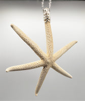rare six armed starfish, 6 armed starfish, unique starfish ornament, white starfish ornament, starfish christmas ornament, beach coastal ornament