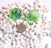 white nipple shells, nipple seashells, beach wedding shells, white wedding shells, white craft shells
