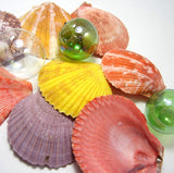 colorful shells, colorful seashells, colorful scallop shells, colorful scallop seashells, beach wedding shells, scallops
